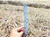 Quảng Trị: Cải tạo đất gò đồi và bạc màu bằng chế phẩm sinh học